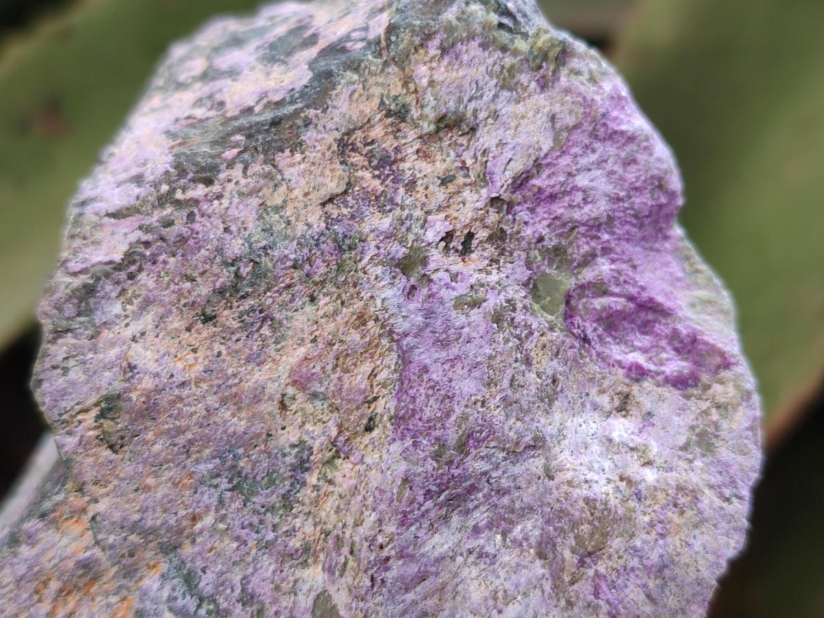 Natural Cobbed Stichtite Specimens x 6 From Barberton, South Africa - Toprock Gemstones and Minerals 