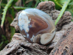Polished Banded Agate Galets x 12 From Madagascar - Toprock Gemstones and Minerals 