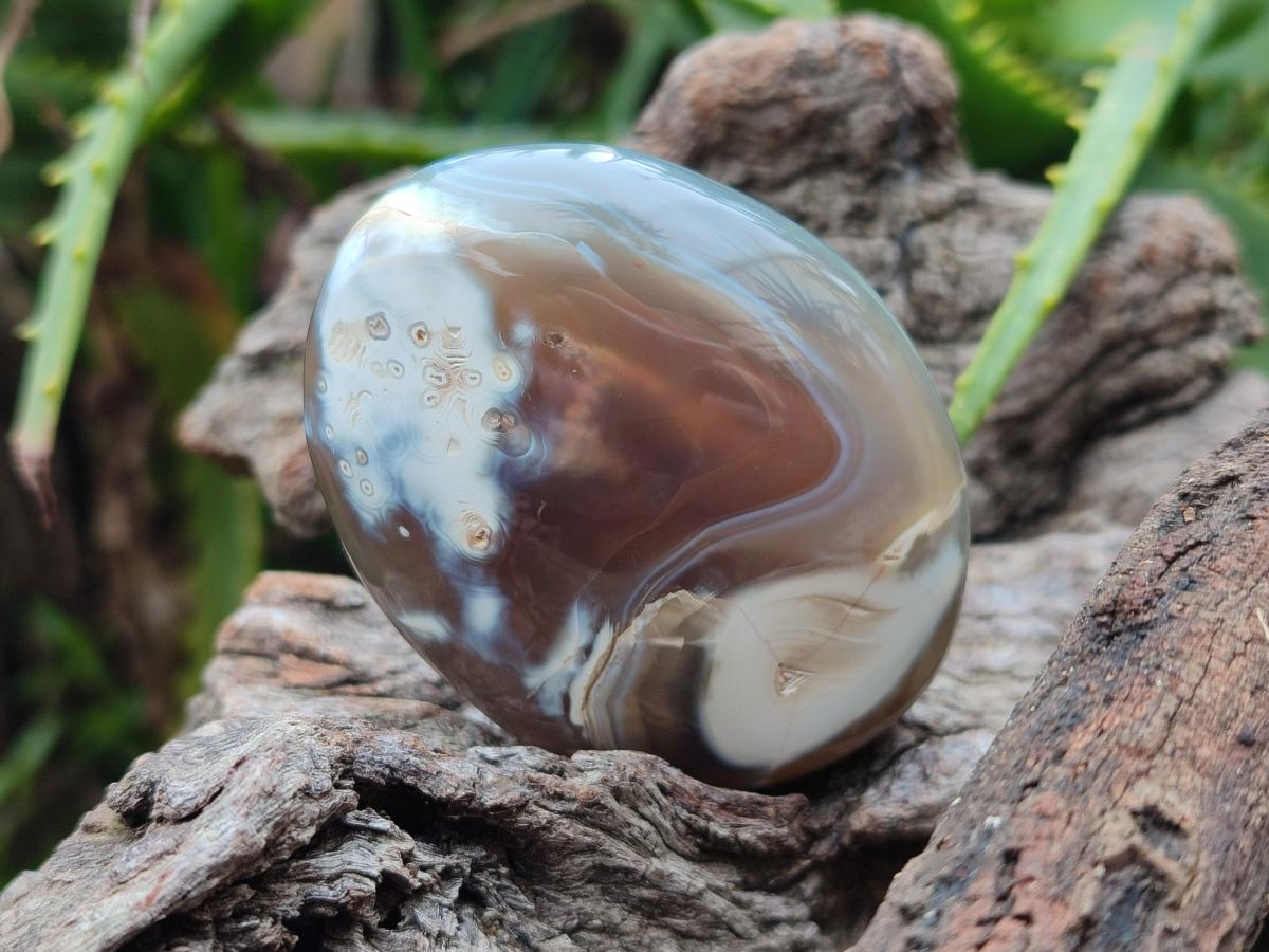 Polished Banded Agate Galets x 12 From Madagascar - Toprock Gemstones and Minerals 