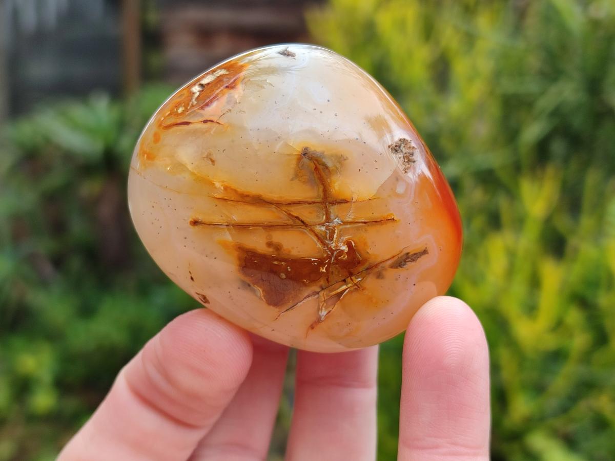 Polished Banded Agate Galets x 12 From Madagascar - Toprock Gemstones and Minerals 