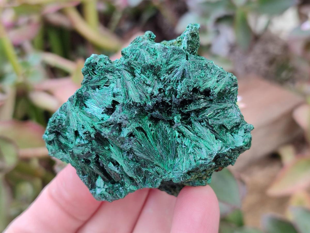 Natural Silky Malachite Specimens x 6 From Kasompe, Congo - Toprock Gemstones and Minerals 