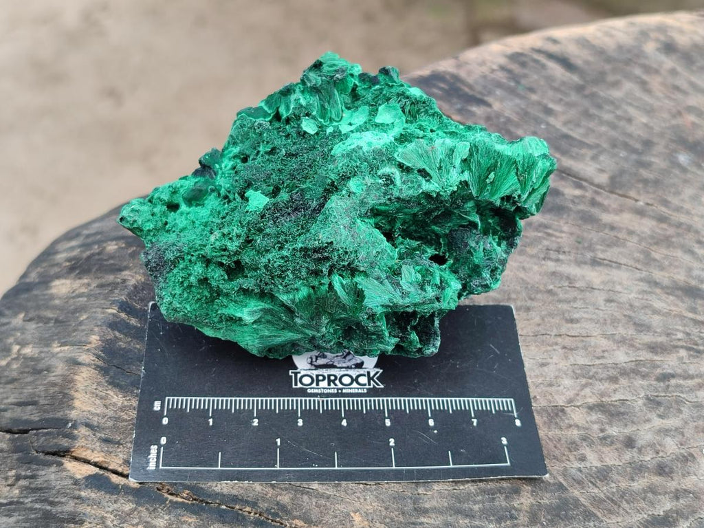 Natural Silky Malachite Specimens x 6 From Kasompe, Congo - Toprock Gemstones and Minerals 