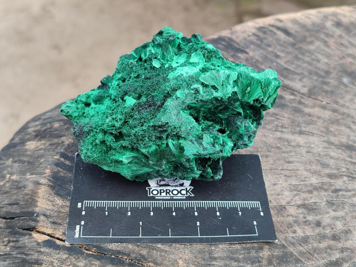 Natural Silky Malachite Specimens x 6 From Kasompe, Congo - Toprock Gemstones and Minerals 
