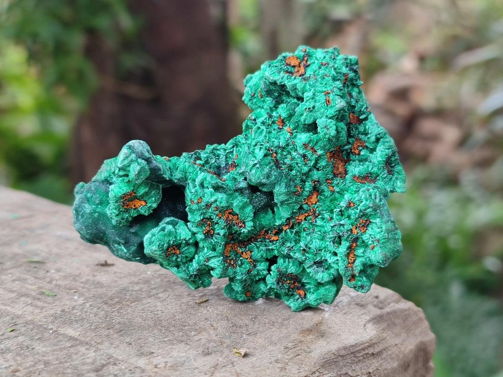 Natural Silky Malachite Specimens x 6 From Kasompe, Congo - Toprock Gemstones and Minerals 