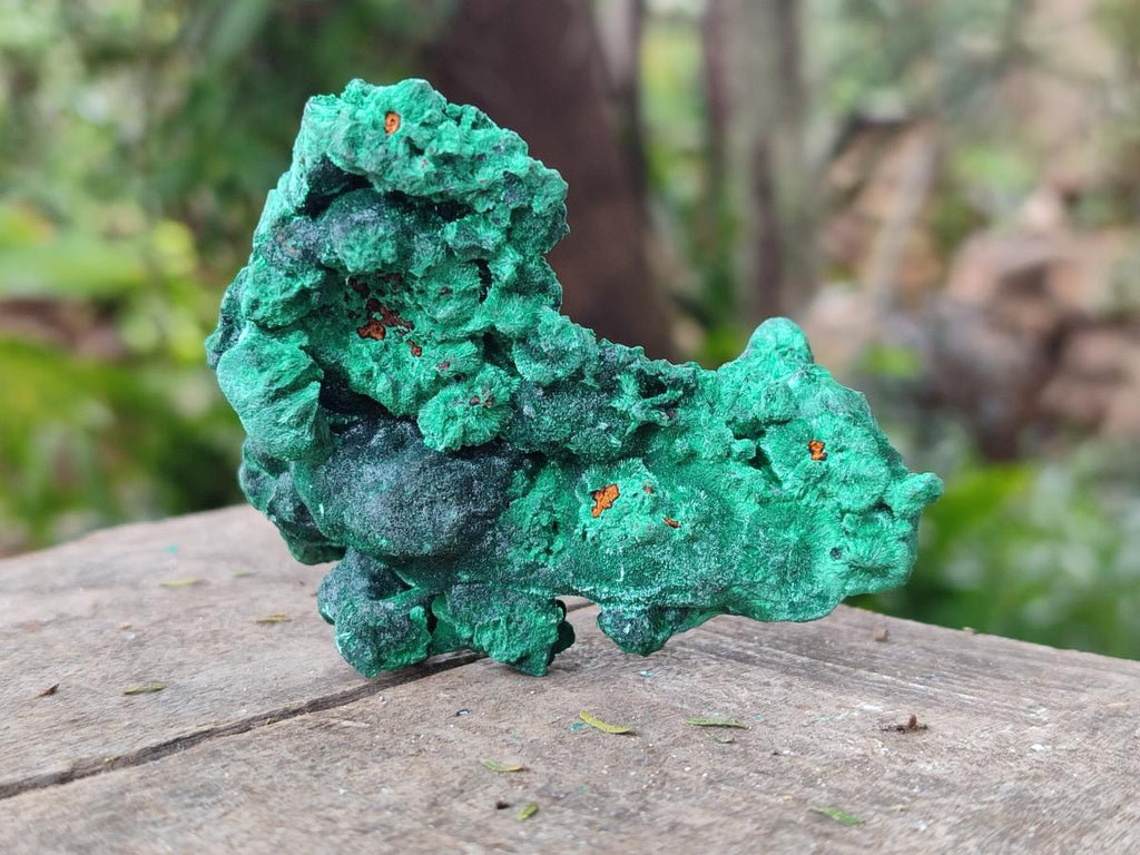 Natural Silky Malachite Specimens x 6 From Kasompe, Congo - Toprock Gemstones and Minerals 