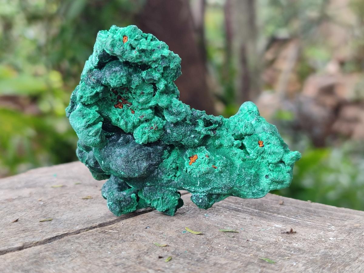 Natural Silky Malachite Specimens x 6 From Kasompe, Congo - Toprock Gemstones and Minerals 