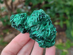 Natural Silky Malachite Specimens x 6 From Kasompe, Congo - Toprock Gemstones and Minerals 