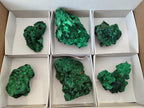 Natural Silky Malachite Specimens x 6 From Kasompe, Congo - Toprock Gemstones and Minerals 