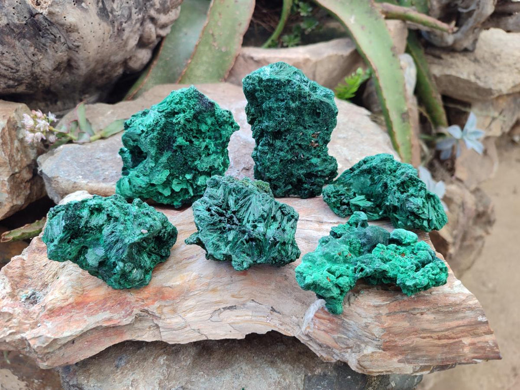 Natural Silky Malachite Specimens x 6 From Kasompe, Congo - Toprock Gemstones and Minerals 