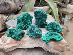 Natural Silky Malachite Specimens x 6 From Kasompe, Congo - Toprock Gemstones and Minerals 