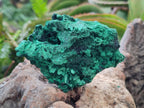 Natural Silky Malachite Specimens x 6 From Kasompe, Congo - Toprock Gemstones and Minerals 