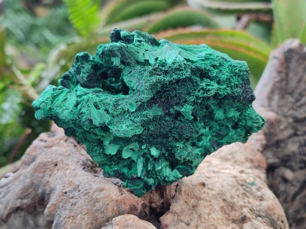 Natural Silky Malachite Specimens x 6 From Kasompe, Congo - Toprock Gemstones and Minerals 