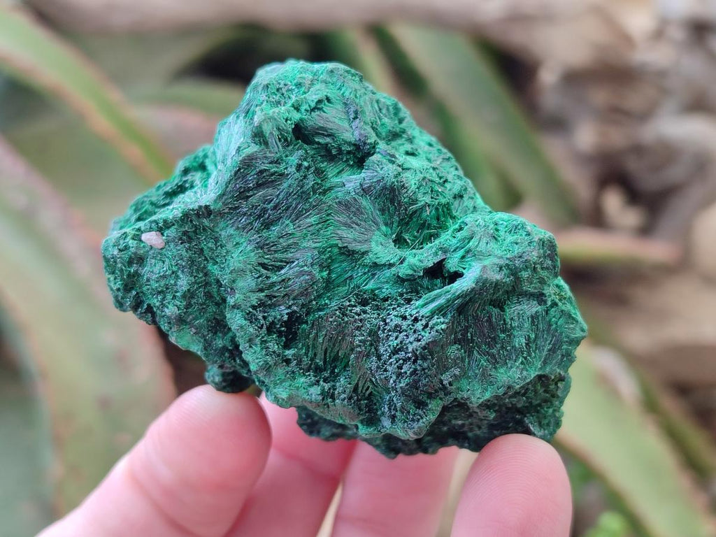 Natural Silky Malachite Specimens x 6 From Kasompe, Congo - Toprock Gemstones and Minerals 