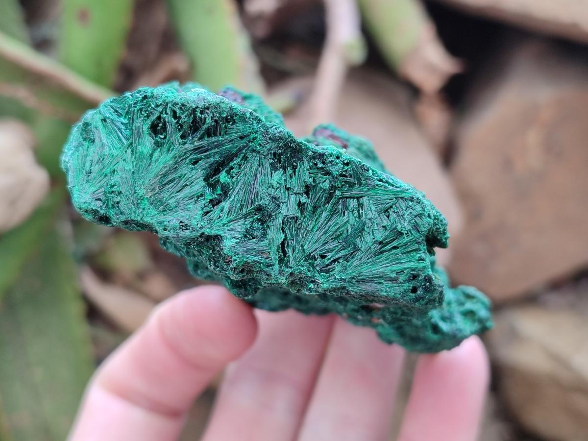 Natural Silky Malachite Specimens x 6 From Kasompe, Congo - Toprock Gemstones and Minerals 