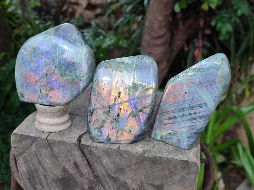 Polished Rare Purple Sunset Flash Labradorite Standing Display Pieces x 3 From Madagascar - Toprock Gemstones and Minerals 
