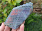Polished Rare Purple Sunset Flash Labradorite Standing Display Pieces x 3 From Madagascar - Toprock Gemstones and Minerals 