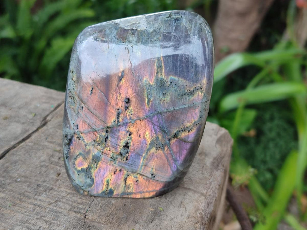 Polished Rare Purple Sunset Flash Labradorite Standing Display Pieces x 3 From Madagascar - Toprock Gemstones and Minerals 