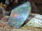Polished Rare Purple Sunset Flash Labradorite Standing Display Pieces x 3 From Madagascar - Toprock Gemstones and Minerals 