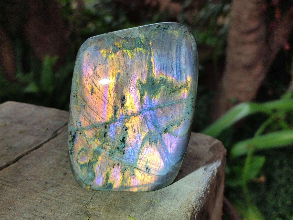 Polished Rare Purple Sunset Flash Labradorite Standing Display Pieces x 3 From Madagascar - Toprock Gemstones and Minerals 