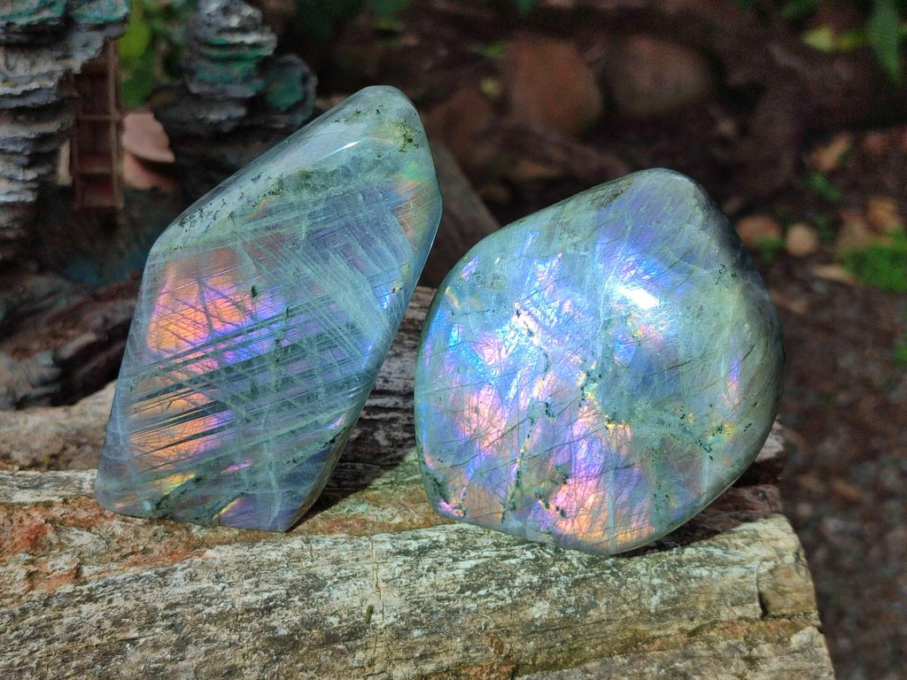 Polished Rare Purple Sunset Flash Labradorite Standing Display Pieces x 3 From Madagascar - Toprock Gemstones and Minerals 