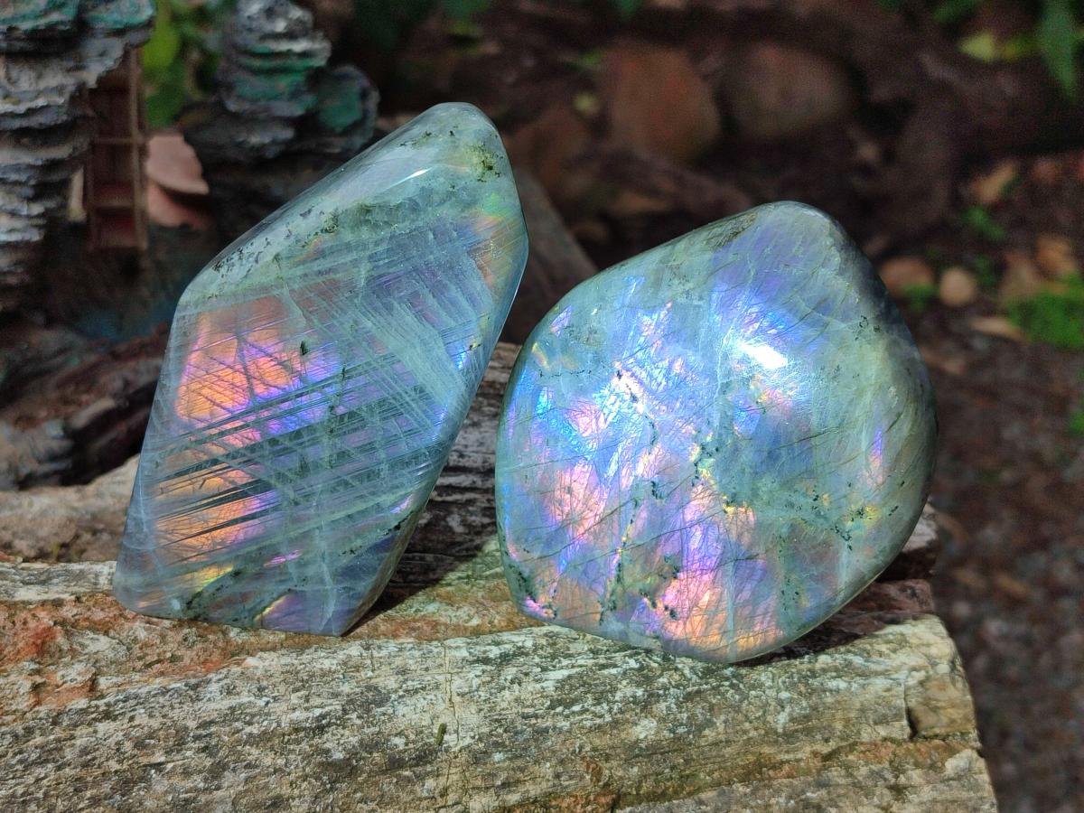 Polished Rare Purple Sunset Flash Labradorite Standing Display Pieces x 3 From Madagascar - Toprock Gemstones and Minerals 