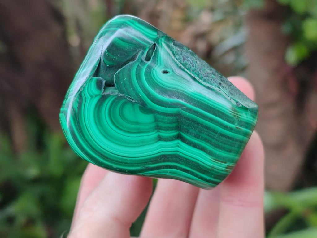 Polished Malacolla Free Forms x 4 From Kulukuluku, Congo - Toprock Gemstones and Minerals 