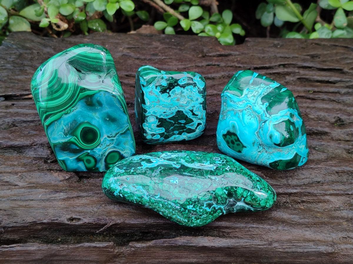 Polished Malacolla Free Forms x 4 From Kulukuluku, Congo - Toprock Gemstones and Minerals 