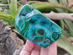 Polished Malacolla Free Forms x 4 From Kulukuluku, Congo - Toprock Gemstones and Minerals 