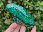 Polished Malacolla Free Forms x 4 From Kulukuluku, Congo - Toprock Gemstones and Minerals 