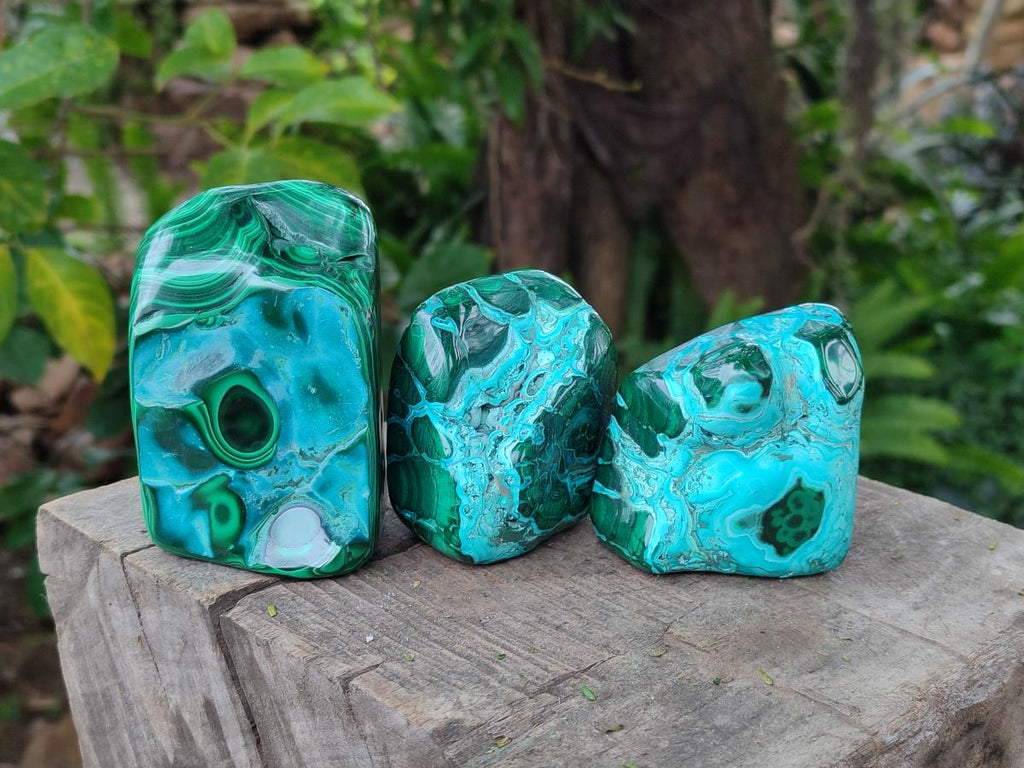 Polished Malacolla Free Forms x 4 From Kulukuluku, Congo - Toprock Gemstones and Minerals 