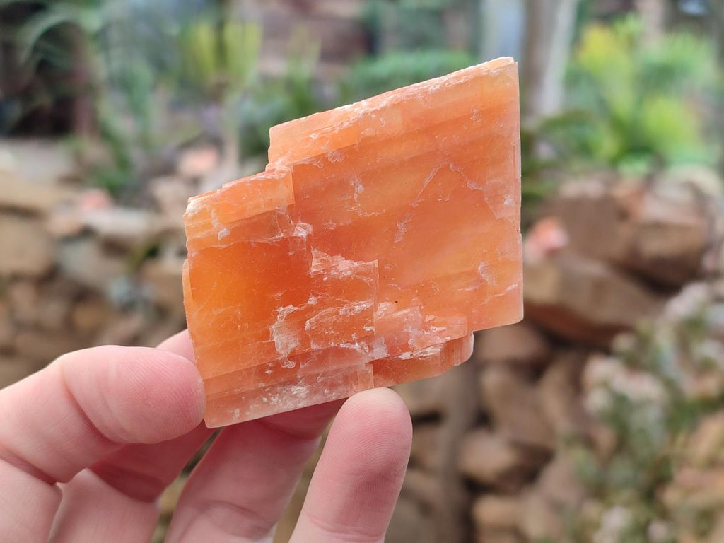 Natural Rhombohedral Sunset Orange Calcite Specimens x 24 From Spitzkop, Namibia - Toprock Gemstones and Minerals 