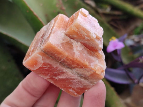 Natural Rhombohedral Sunset Orange Calcite Specimens x 24 From Spitzkop, Namibia - Toprock Gemstones and Minerals 
