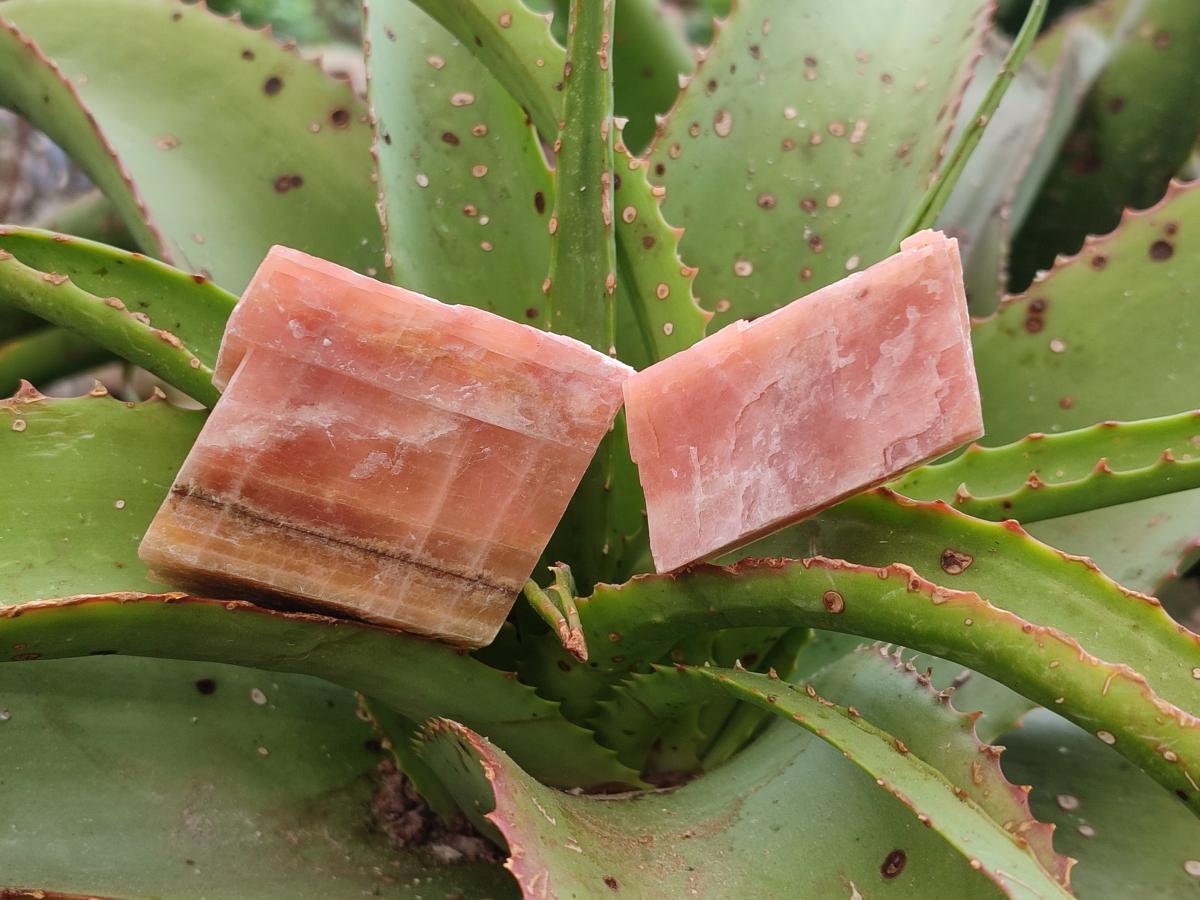 Natural Rhombohedral Sunset Orange Calcite Specimens x 24 From Spitzkop, Namibia - Toprock Gemstones and Minerals 