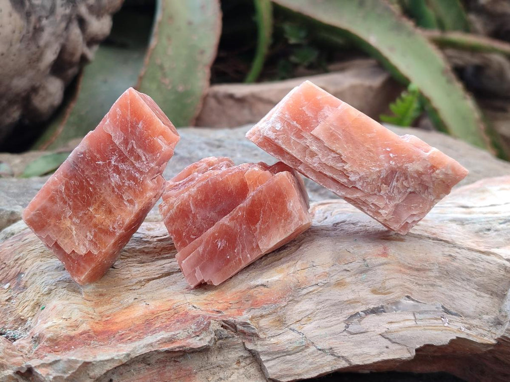 Natural Rhombohedral Sunset Orange Calcite Specimens x 24 From Spitzkop, Namibia - Toprock Gemstones and Minerals 