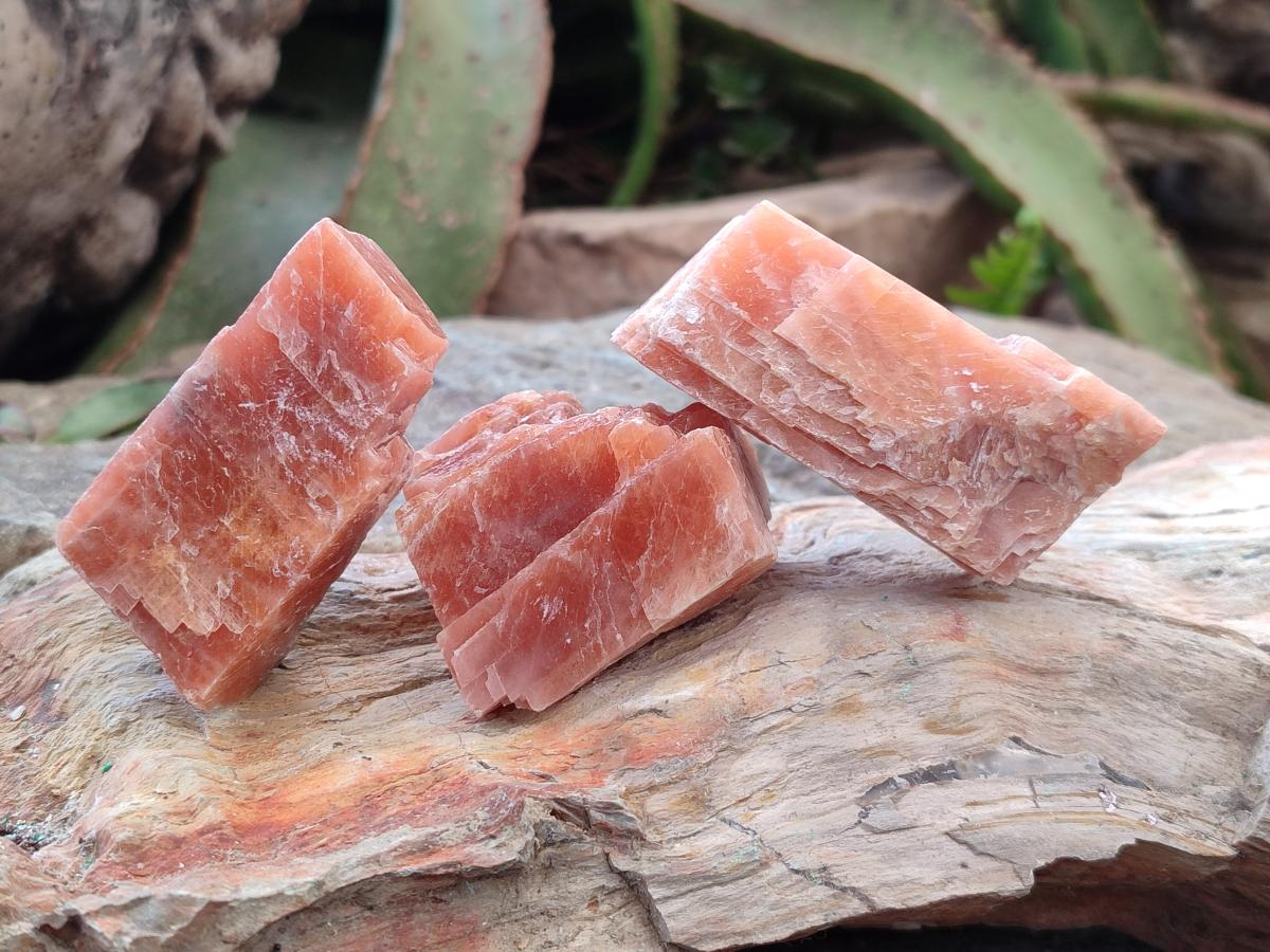 Natural Rhombohedral Sunset Orange Calcite Specimens x 24 From Spitzkop, Namibia - Toprock Gemstones and Minerals 