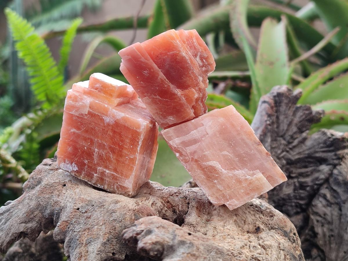 Natural Rhombohedral Sunset Orange Calcite Specimens x 24 From Spitzkop, Namibia - Toprock Gemstones and Minerals 
