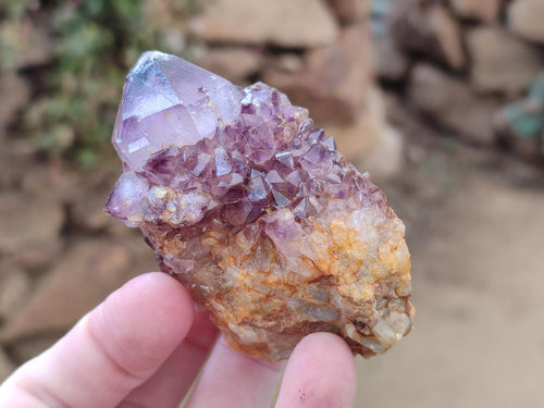 Natural Dark Purple Amethyst Crystal Plates x 24 From Boekenhouthoek, South Africa - Toprock Gemstones and Minerals 