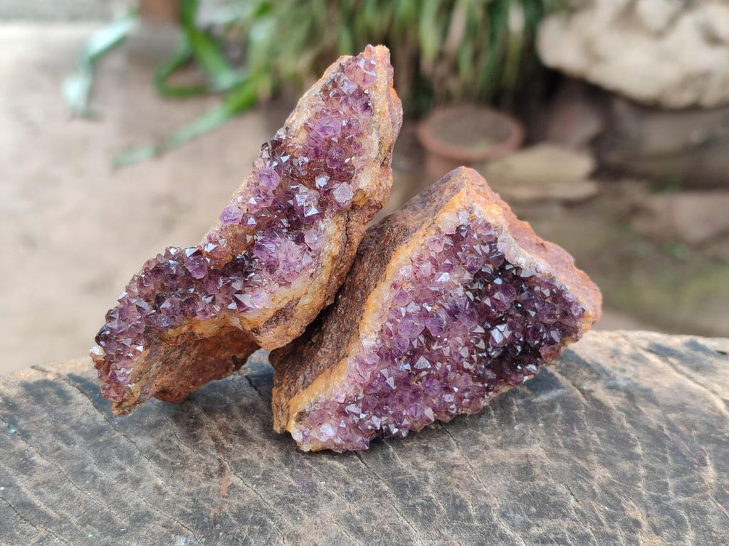 Natural Dark Purple Amethyst Crystal Plates x 24 From Boekenhouthoek, South Africa - Toprock Gemstones and Minerals 
