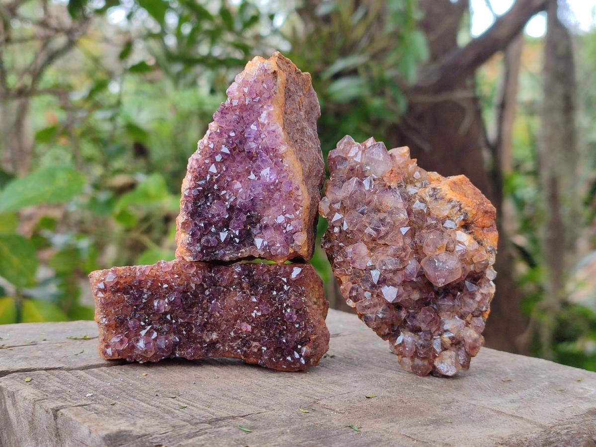 Natural Dark Purple Amethyst Crystal Plates x 24 From Boekenhouthoek, South Africa - Toprock Gemstones and Minerals 