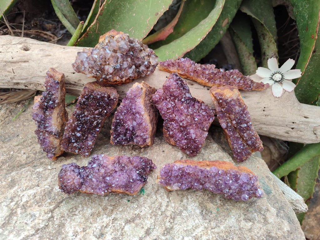 Natural Dark Purple Amethyst Crystal Plates x 24 From Boekenhouthoek, South Africa - Toprock Gemstones and Minerals 