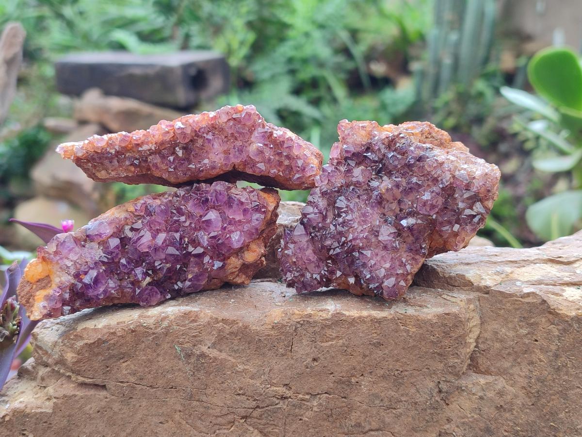 Natural Dark Purple Amethyst Crystal Plates x 24 From Boekenhouthoek, South Africa - Toprock Gemstones and Minerals 