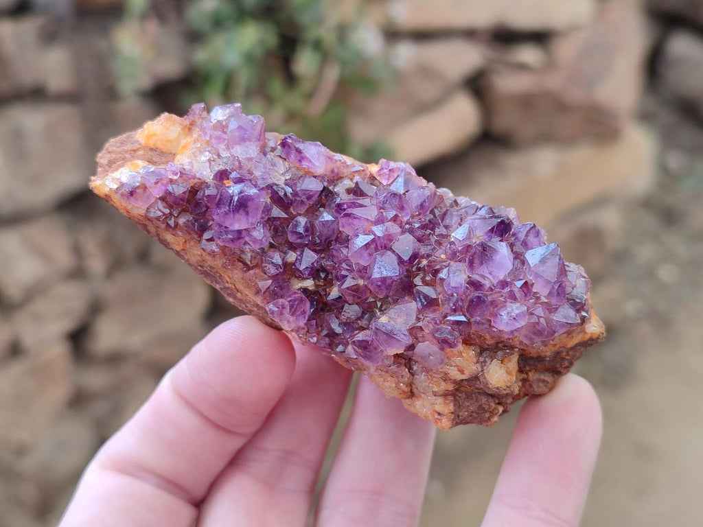 Natural Dark Purple Amethyst Crystal Plates x 24 From Boekenhouthoek, South Africa - Toprock Gemstones and Minerals 