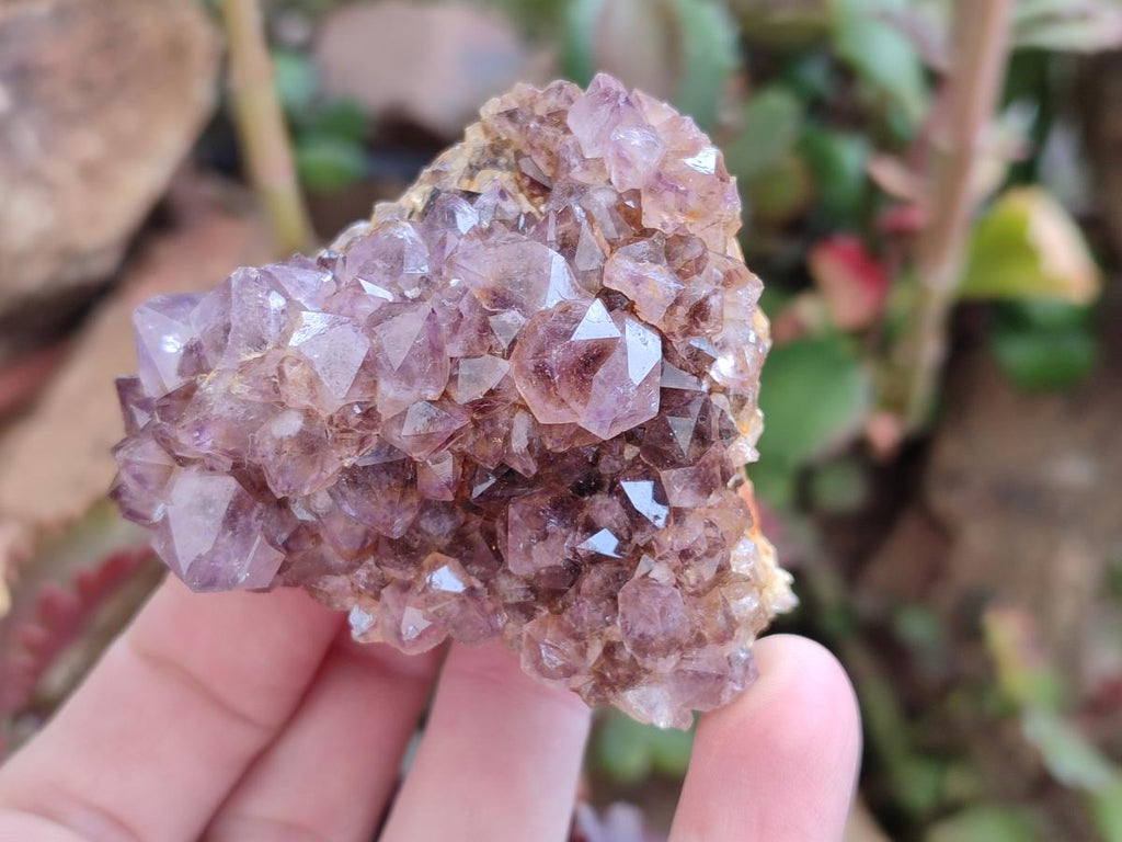 Natural Dark Purple Amethyst Crystal Plates x 24 From Boekenhouthoek, South Africa - Toprock Gemstones and Minerals 