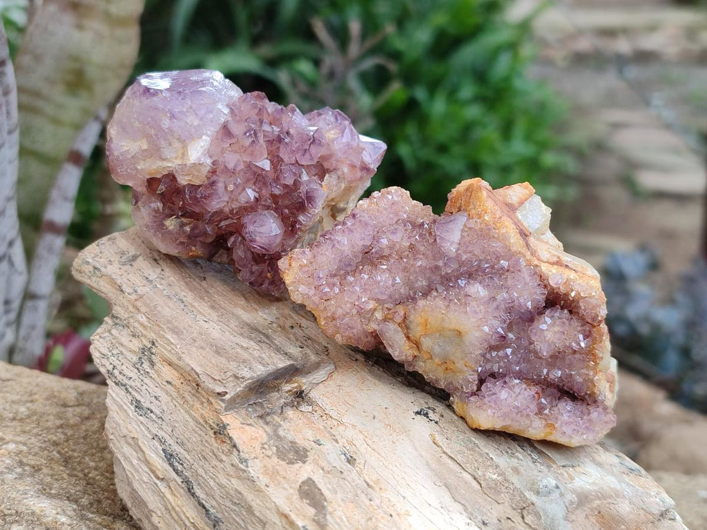 Natural Dark Purple Amethyst Crystal Plates x 24 From Boekenhouthoek, South Africa - Toprock Gemstones and Minerals 
