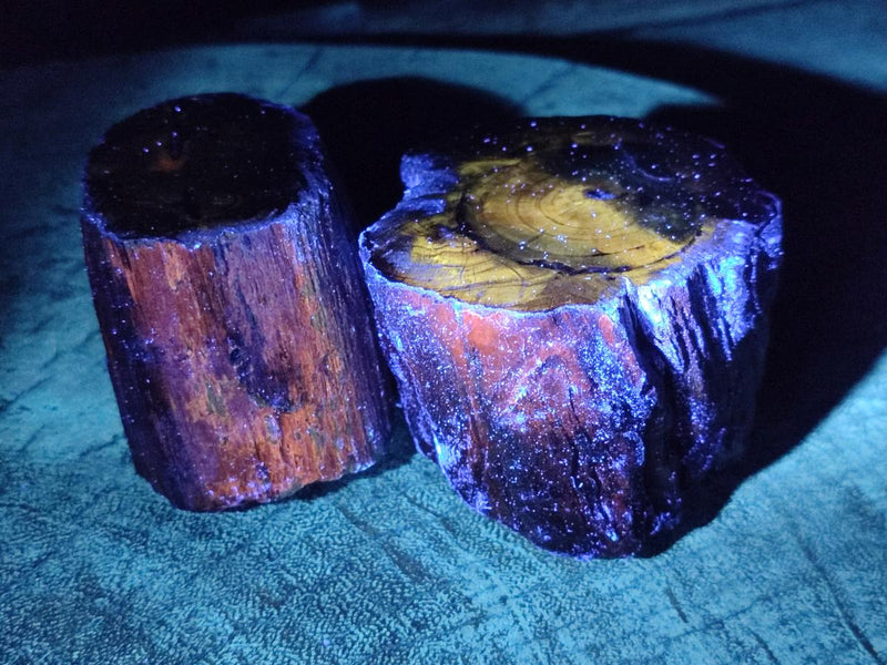 Polished On One Side Dadoxylon Petrified Wood Tree Branches x 6 From Gokwe, Zimbabwe - Toprock Gemstones and Minerals 