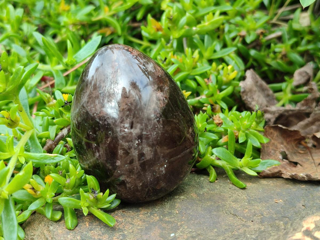 Polished Large Smokey Window Quartz Eggs x 6 From Madagascar - Toprock Gemstones and Minerals 