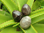 Polished Large Smokey Window Quartz Eggs x 6 From Madagascar - Toprock Gemstones and Minerals 
