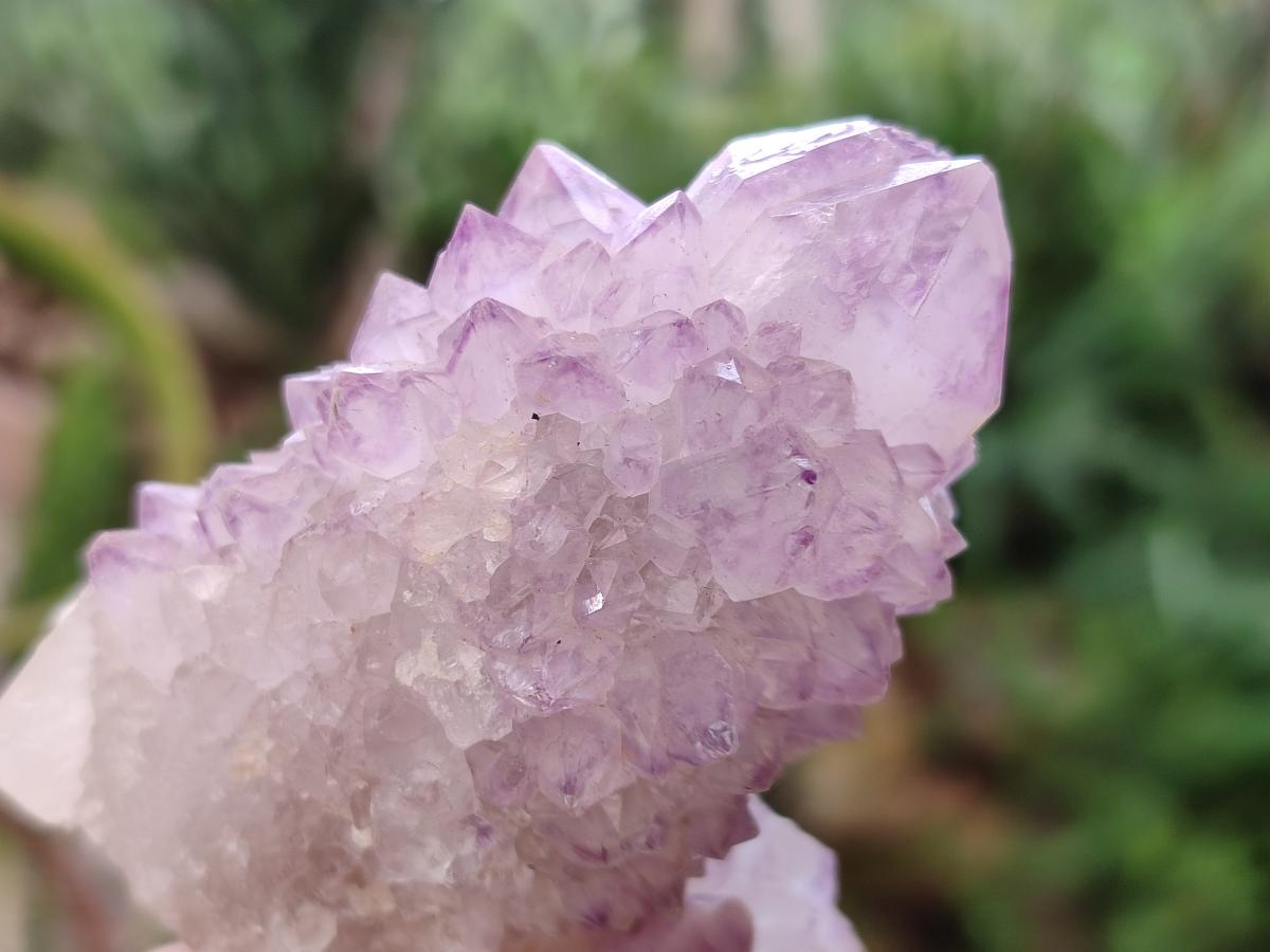 Natural Spirit Amethyst Clusters x 12 From Boekenhouthoek, South Africa - Toprock Gemstones and Minerals 