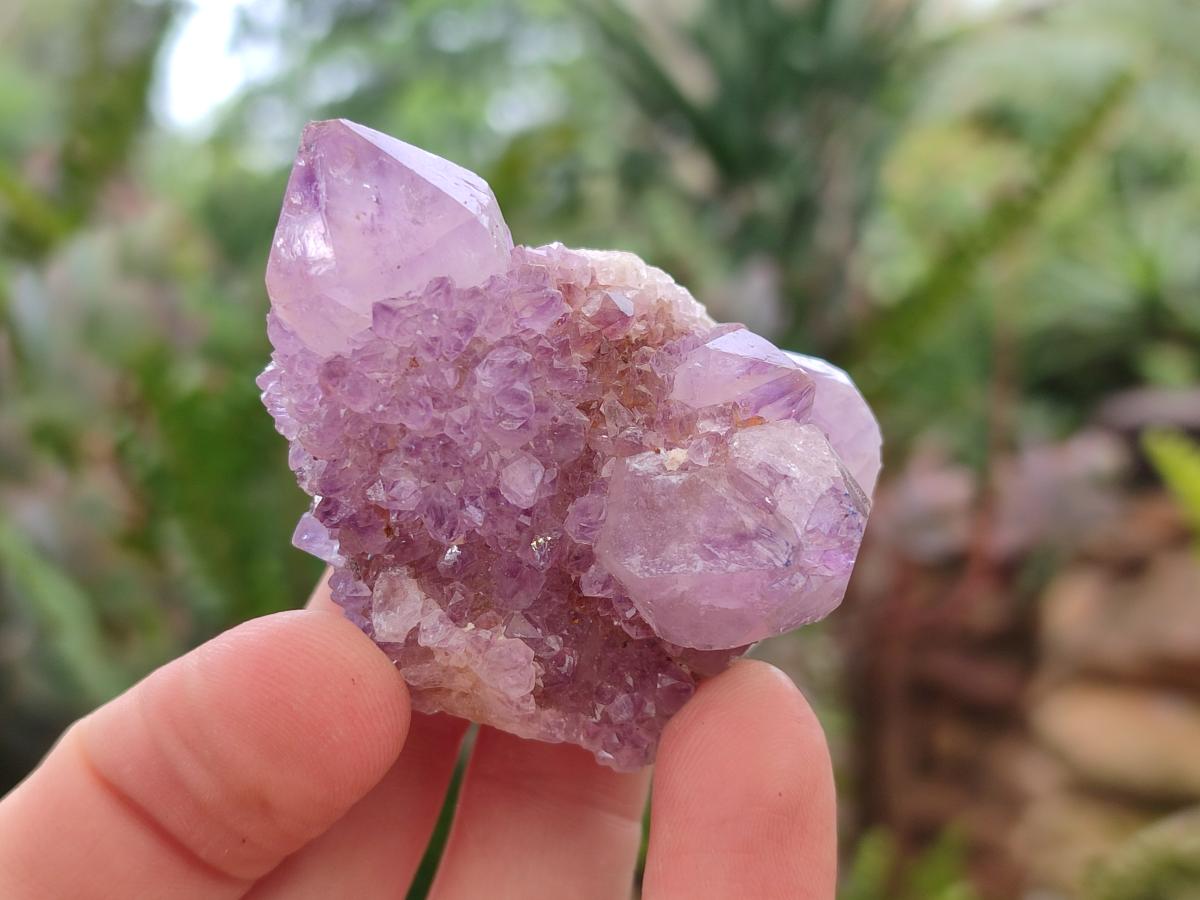 Natural Spirit Amethyst Clusters x 12 From Boekenhouthoek, South Africa - Toprock Gemstones and Minerals 