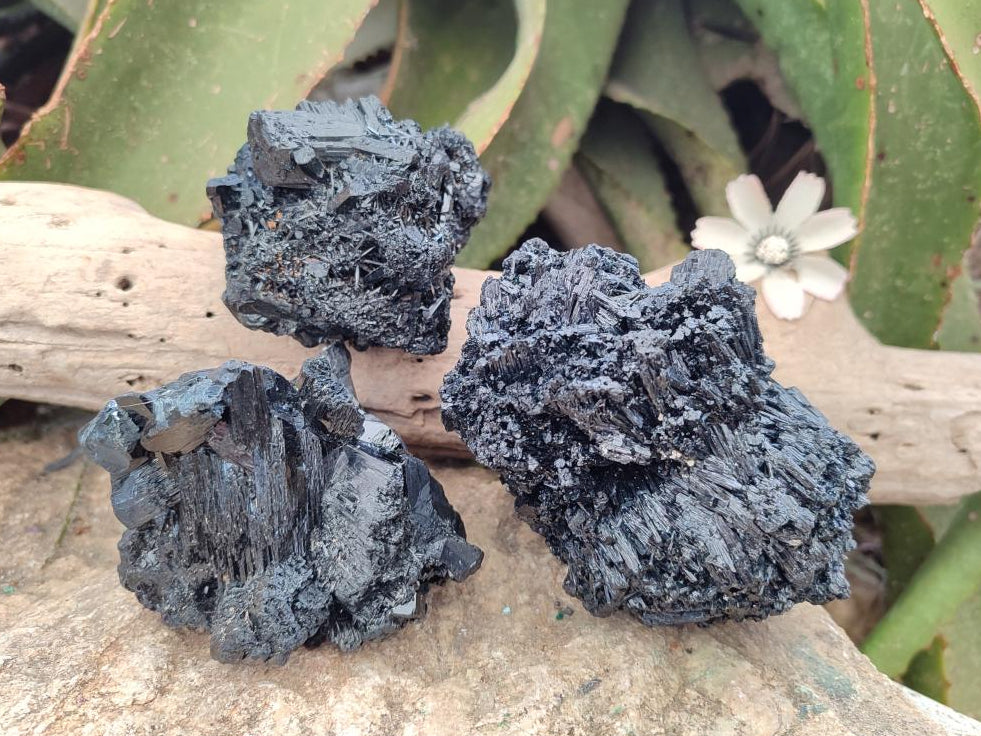 Natural Schorl Black Tourmaline Specimens x 3 From Erongo, Namibia - Toprock Gemstones and Minerals 